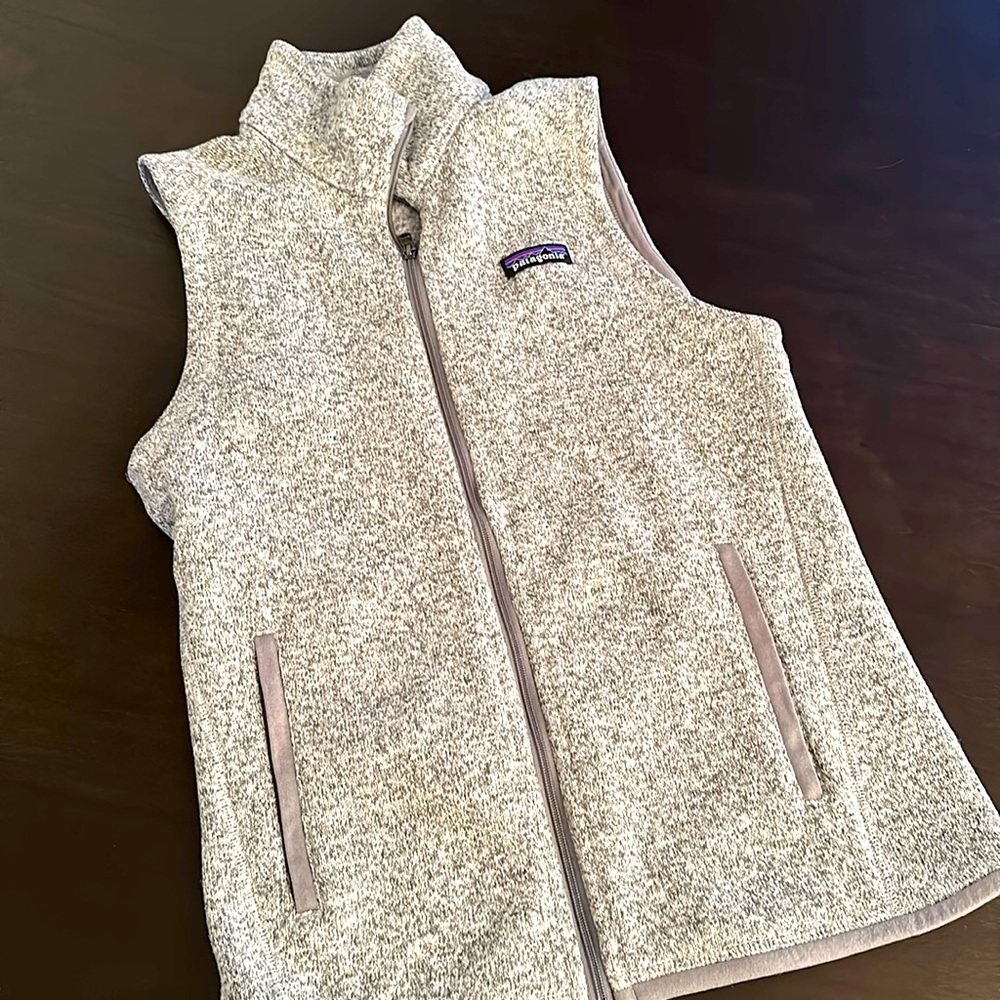 Patagonia Gray Fleece Vest